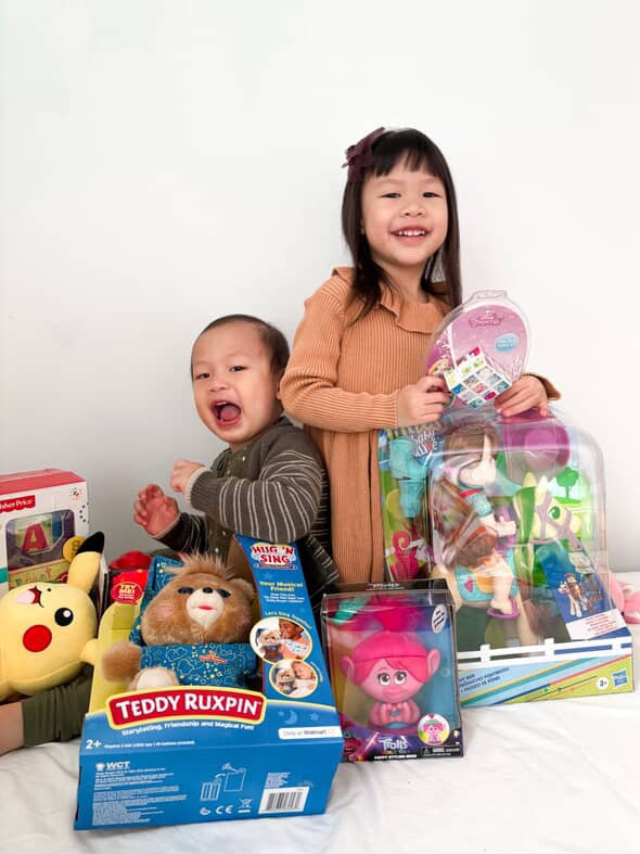 Toy Mystery Box - Mixed