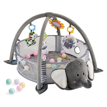 3-in-1 Baby Activity Gym & Ball Pit