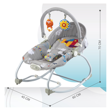 Baby Infant-to-Toddler Rocker