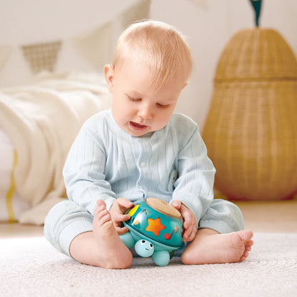 Hape Twist & Tune Turtle Baby Musical Toy