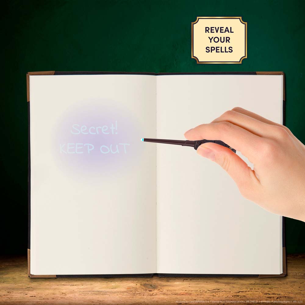 Harry Potter Tom Riddle's Diary Notebook, Pen & Torch Set