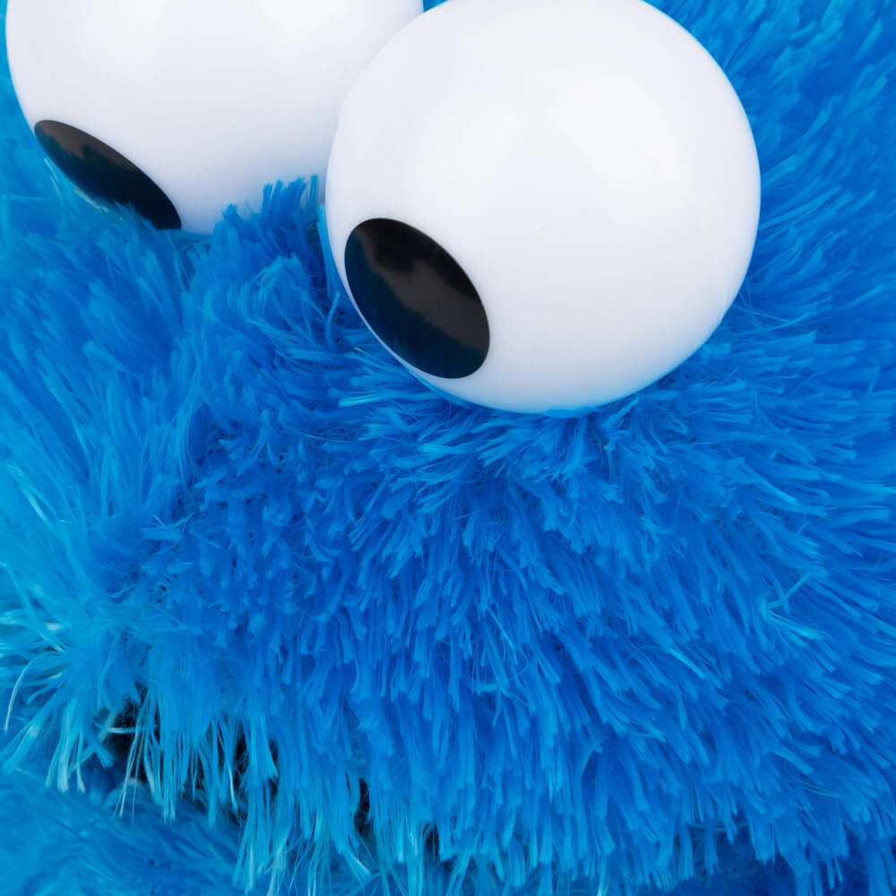 Sesame Street Soft Plush Toy 25cm - Cookie Monster