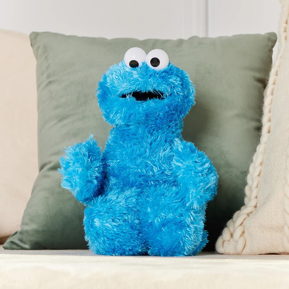 Sesame Street Soft Plush Toy 25cm - Cookie Monster