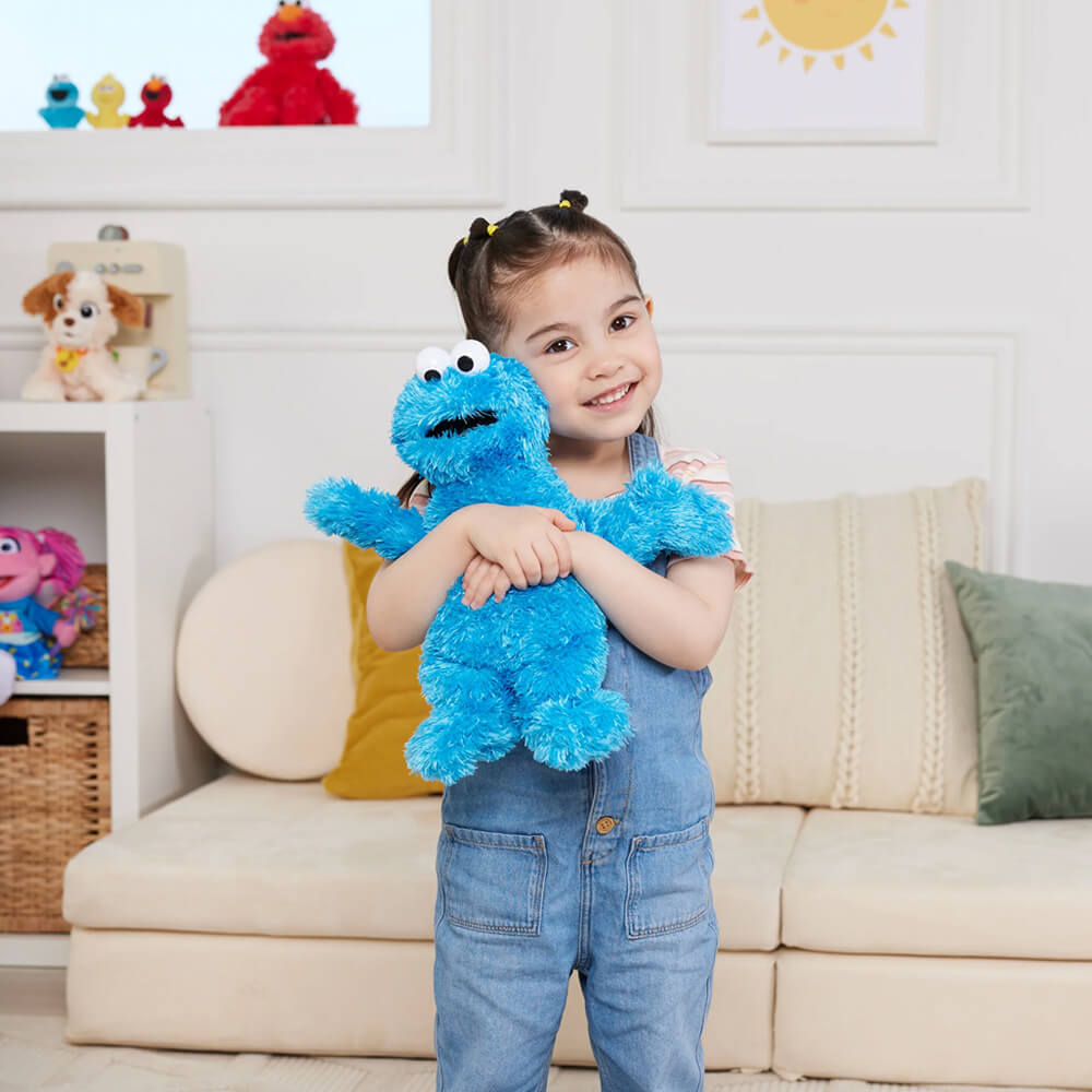 Sesame Street Soft Plush Toy 25cm - Cookie Monster
