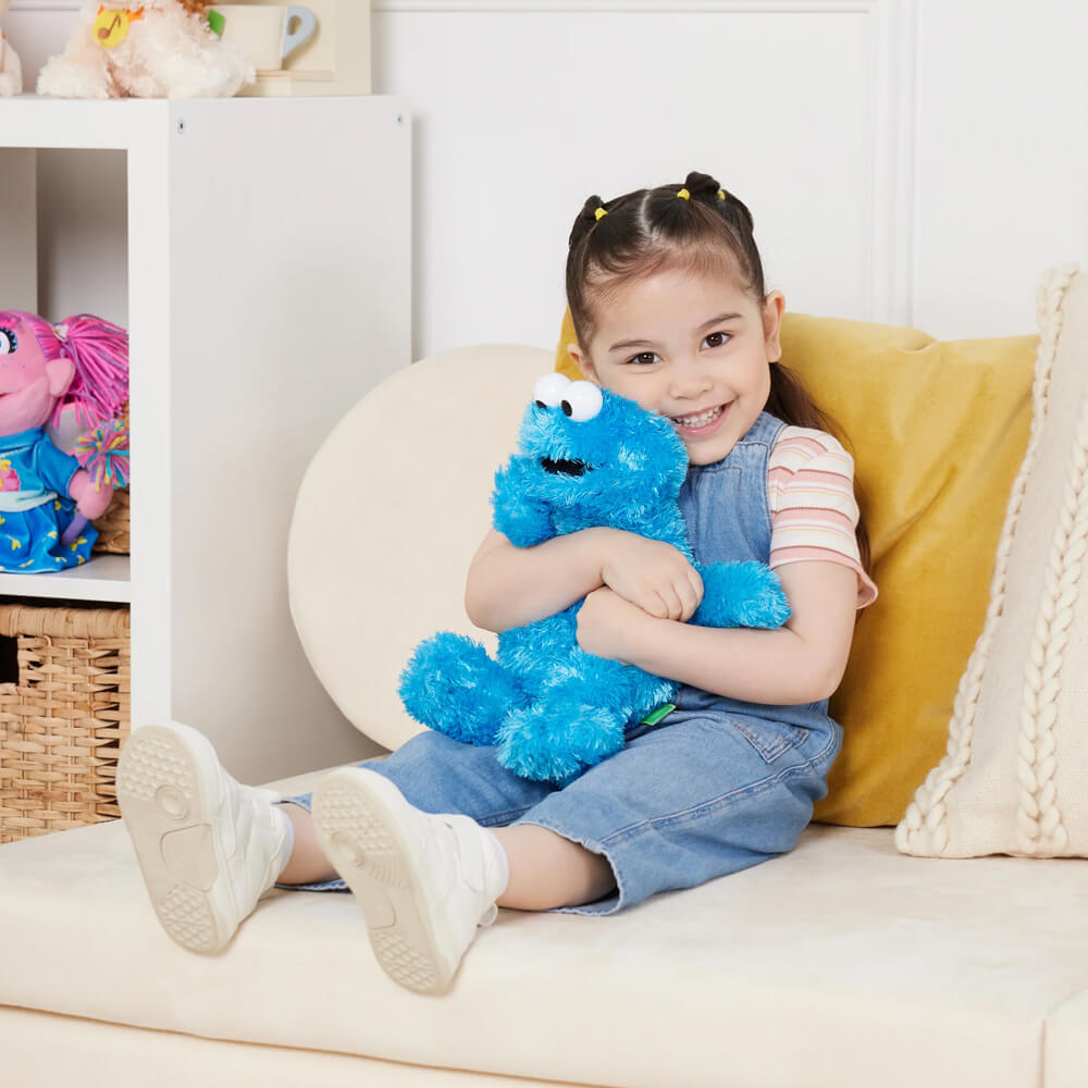 Sesame Street Soft Plush Toy 25cm - Cookie Monster