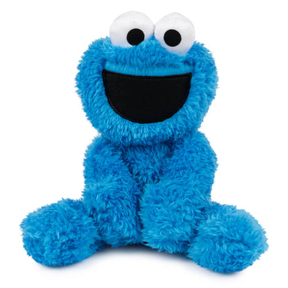 Sesame Street Take-Along Buddy Soft Toy 24cm - Cookie Monster