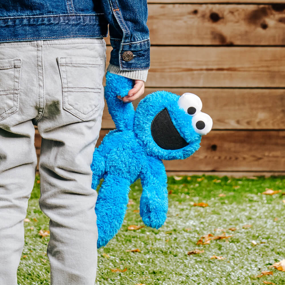 Sesame Street Take-Along Buddy Soft Toy 24cm - Cookie Monster
