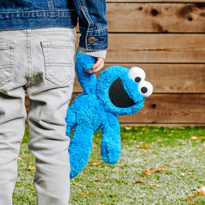 Sesame Street Take-Along Buddy Soft Toy 24cm - Cookie Monster
