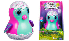 Spin Master Hatchimals Wind-Up Egglider – Pink | Ages 3+