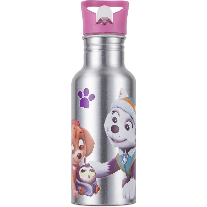 Nickelodeon Paw Patrol Colour Changing Aluminium Kids Water Bottle
