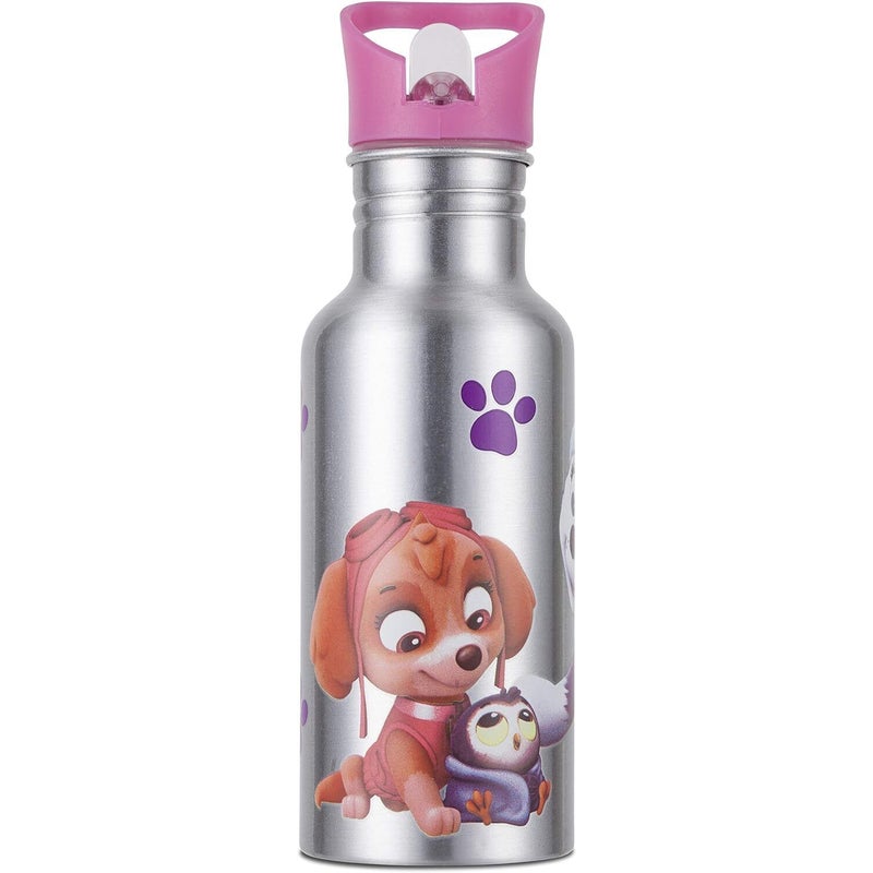 Nickelodeon Paw Patrol Colour Changing Aluminium Kids Water Bottle