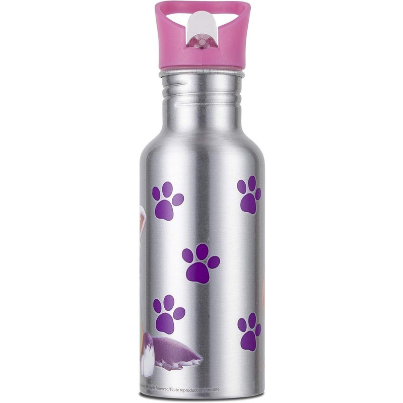 Nickelodeon Paw Patrol Colour Changing Aluminium Kids Water Bottle