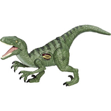 Velociraptor