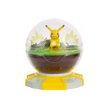 Pokemon Illuminated Terrarium Light Up Pikachu